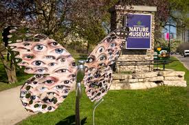 Музей Пегги Нотбаерт